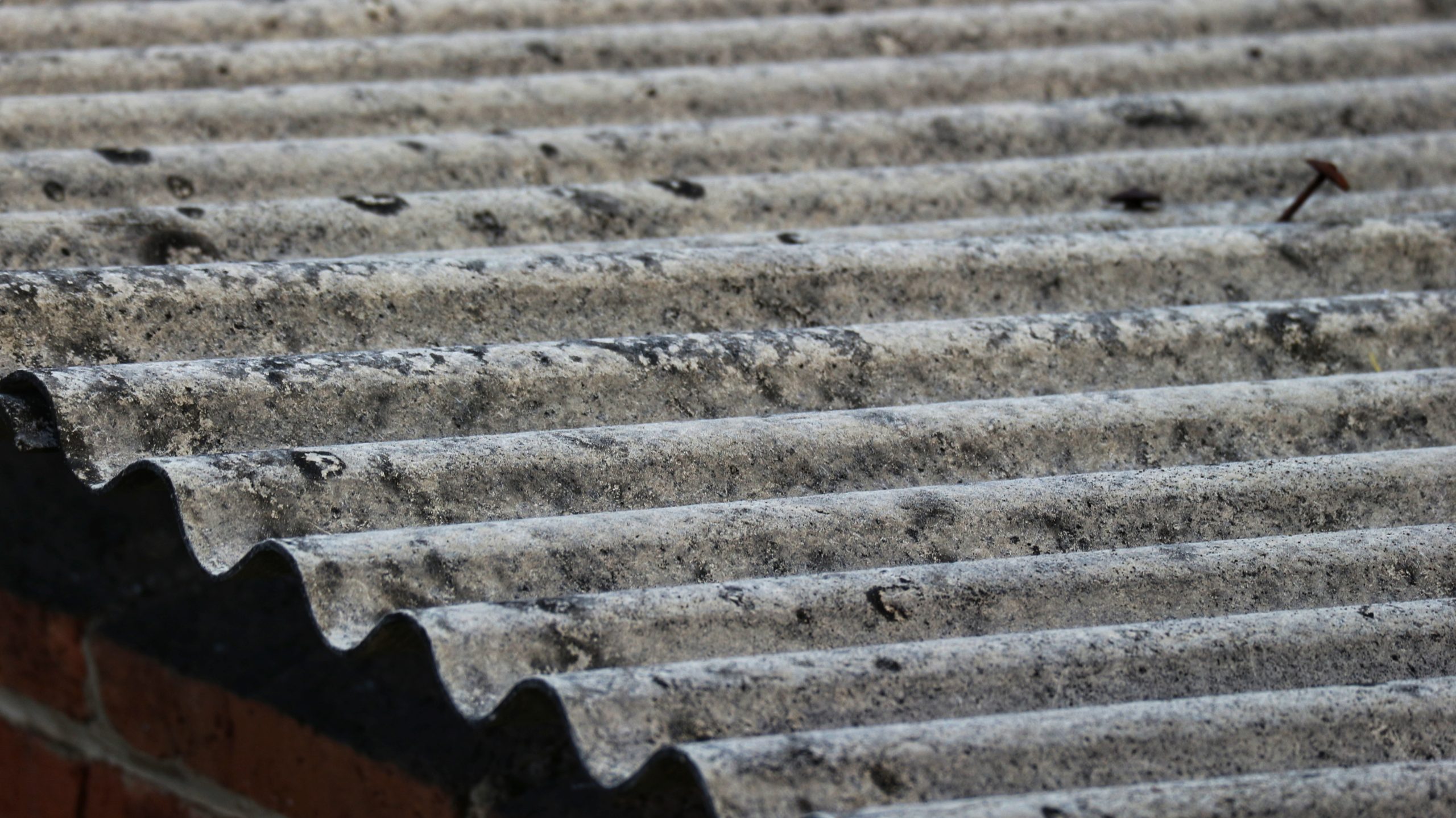 asbestos-roof-tiles-that-have-started-become-ugly-originally-gray-color-are-starting-show-black-spots-scaled